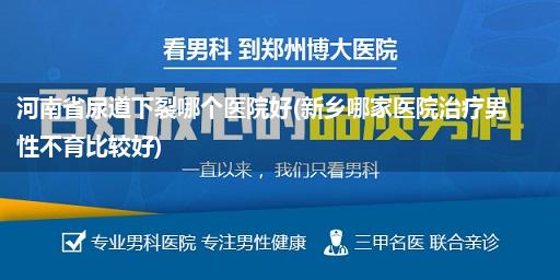 河南省尿道下裂哪个医院好(新乡哪家医院治疗男性不育比较好)