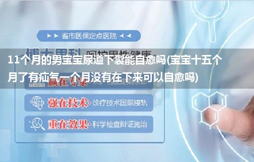 11个月的男宝宝尿道下裂能自愈吗(宝宝十五个月了有疝气一个月没有在下来可以自愈吗)