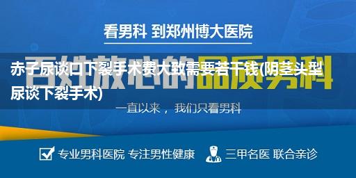 赤子尿谈口下裂手术费大致需要若干钱(阴茎头型尿谈下裂手术)