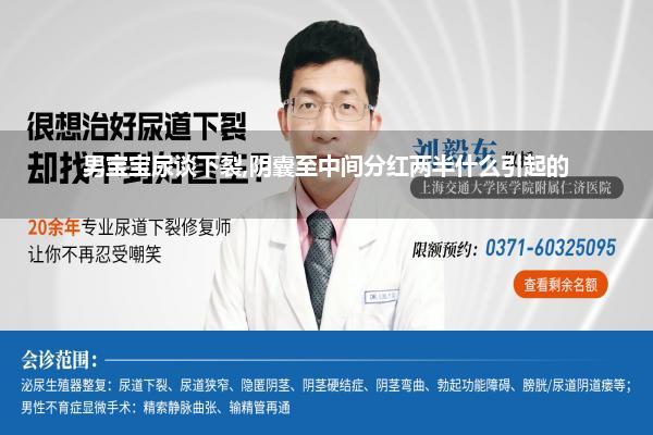 男宝宝尿谈下裂,阴囊至中间分红两半什么引起的